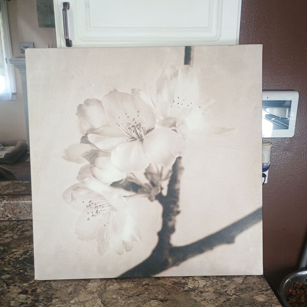 Floral Canvas Art in Cream and Brown - Picture 4 of 4